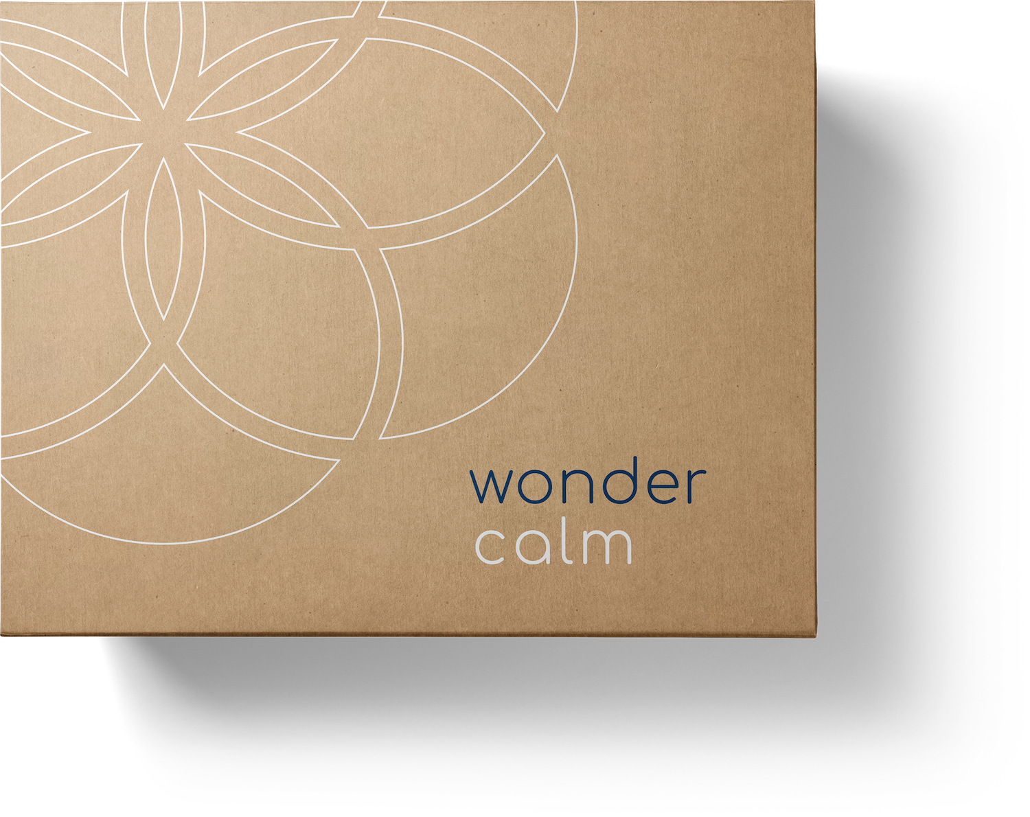 wondermed box starter kit contents